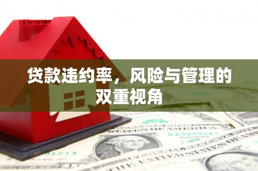 佳木斯贷款违约率，风险与管理的双重视角