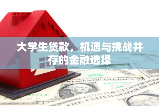 佳木斯大学生贷款，机遇与挑战并存的金融选择