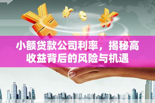 佳木斯小额贷款公司利率，揭秘高收益背后的风险与机遇