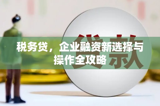 佳木斯税务贷，企业融资新选择与操作全攻略