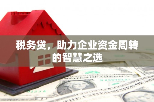 佳木斯税务贷，助力企业资金周转的智慧之选