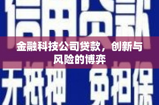 佳木斯金融科技公司贷款，创新与风险的博弈