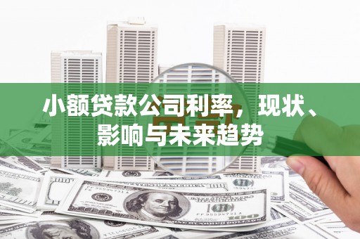 佳木斯小额贷款公司利率，现状、影响与未来趋势