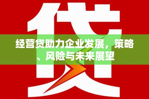 佳木斯经营贷助力企业发展，策略、风险与未来展望