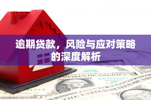 佳木斯逾期贷款，风险与应对策略的深度解析