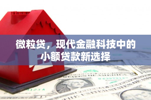佳木斯微粒贷，现代金融科技中的小额贷款新选择