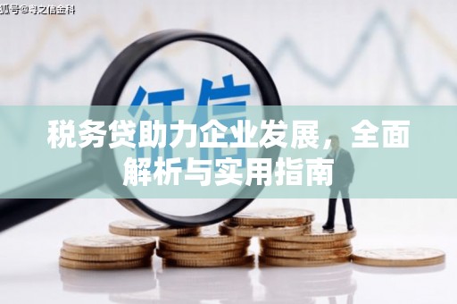 佳木斯税务贷助力企业发展，全面解析与实用指南