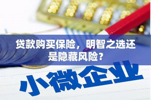 佳木斯贷款购买保险，明智之选还是隐藏风险？