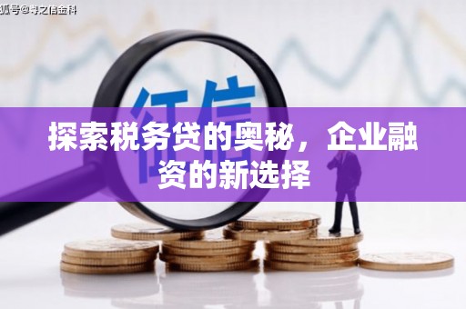 佳木斯探索税务贷的奥秘，企业融资的新选择