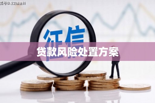 佳木斯贷款风险处置方案
