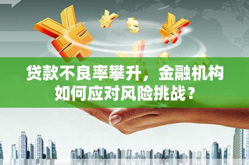 佳木斯贷款不良率攀升，金融机构如何应对风险挑战？