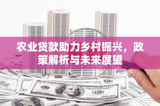 佳木斯农业贷款助力乡村振兴，政策解析与未来展望