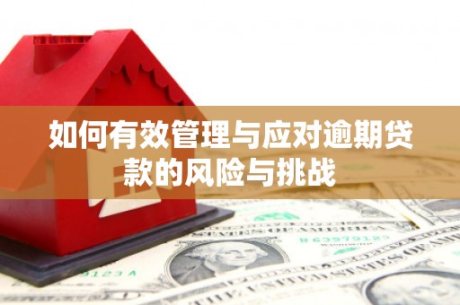 佳木斯如何有效管理与应对逾期贷款的风险与挑战