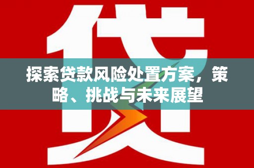 佳木斯探索贷款风险处置方案，策略、挑战与未来展望