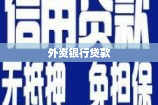 佳木斯外资银行贷款