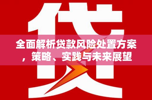 佳木斯全面解析贷款风险处置方案，策略、实践与未来展望