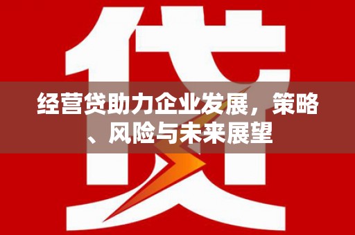 佳木斯经营贷助力企业发展，策略、风险与未来展望
