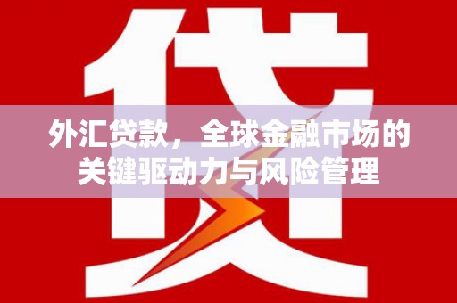 佳木斯外汇贷款，全球金融市场的关键驱动力与风险管理