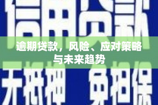 佳木斯逾期贷款，风险、应对策略与未来趋势