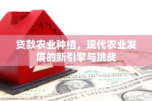 佳木斯贷款农业种植，现代农业发展的新引擎与挑战