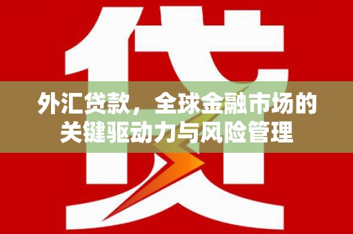 佳木斯外汇贷款，全球金融市场的关键驱动力与风险管理