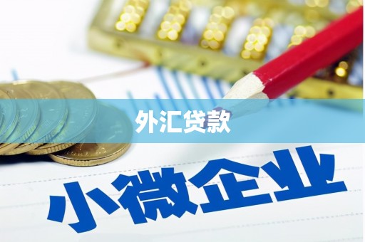 佳木斯外汇贷款