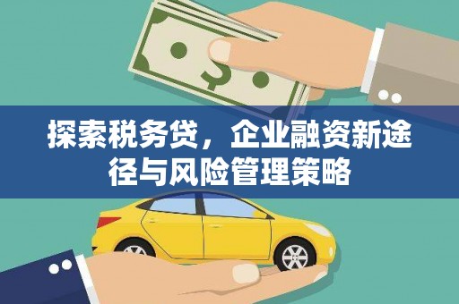 佳木斯探索税务贷，企业融资新途径与风险管理策略