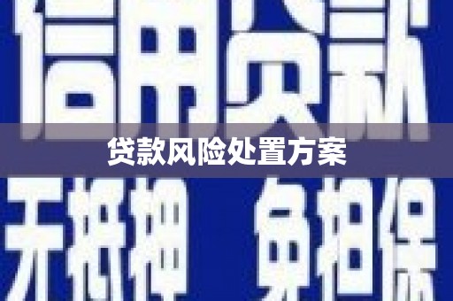 佳木斯贷款风险处置方案