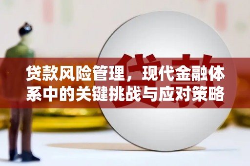 佳木斯贷款风险管理，现代金融体系中的关键挑战与应对策略