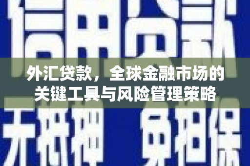 佳木斯外汇贷款，全球金融市场的关键工具与风险管理策略