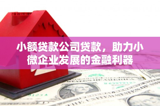 佳木斯小额贷款公司贷款，助力小微企业发展的金融利器