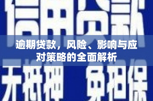 佳木斯逾期贷款，风险、影响与应对策略的全面解析