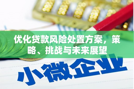 佳木斯优化贷款风险处置方案，策略、挑战与未来展望
