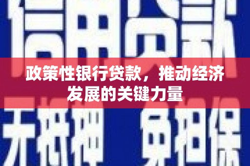 佳木斯政策性银行贷款，推动经济发展的关键力量