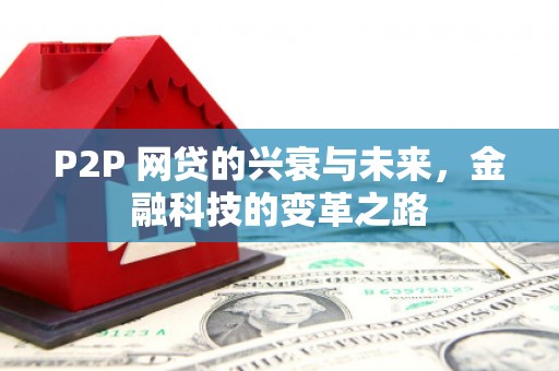 佳木斯P2P 网贷的兴衰与未来，金融科技的变革之路