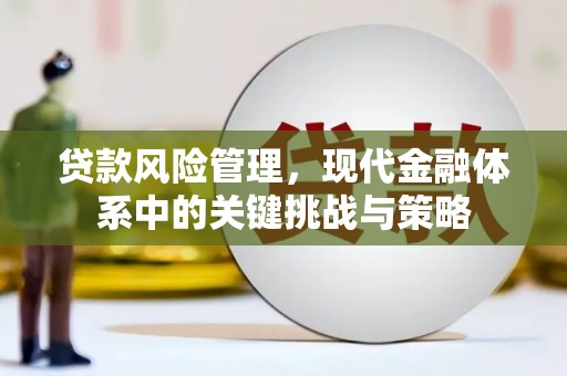 佳木斯贷款风险管理，现代金融体系中的关键挑战与策略