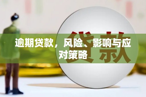 佳木斯逾期贷款，风险、影响与应对策略