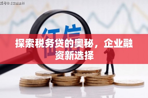 佳木斯探索税务贷的奥秘，企业融资新选择