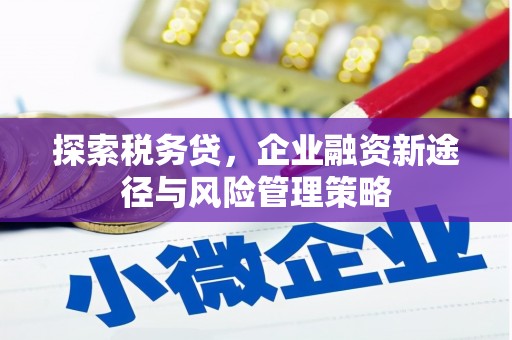 佳木斯探索税务贷，企业融资新途径与风险管理策略