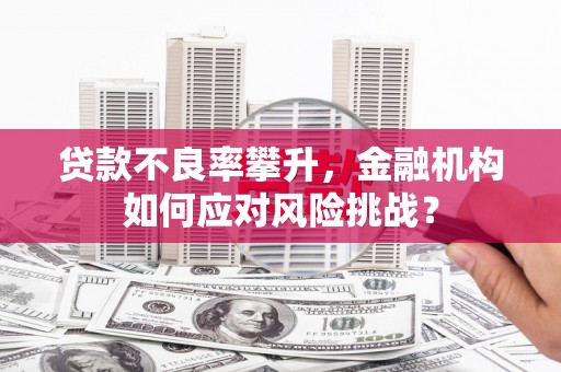 佳木斯贷款不良率攀升，金融机构如何应对风险挑战？