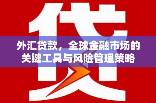 佳木斯外汇贷款，全球金融市场的关键工具与风险管理策略