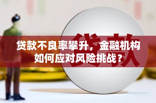 佳木斯贷款不良率攀升，金融机构如何应对风险挑战？
