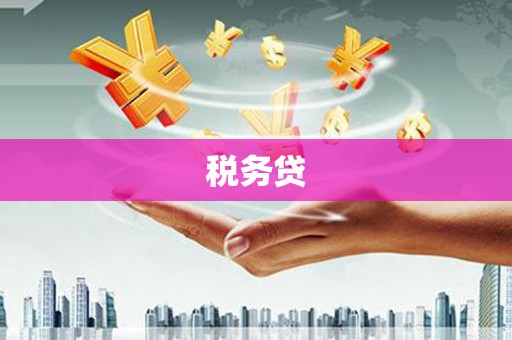 佳木斯税务贷