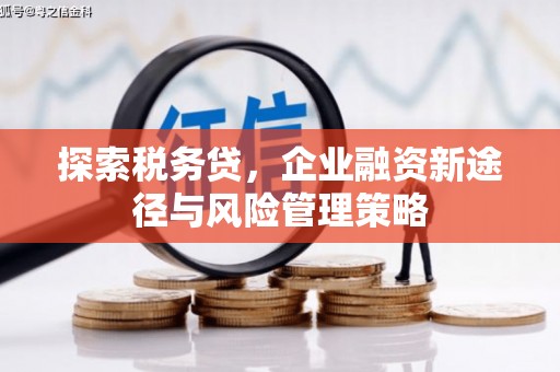 佳木斯探索税务贷，企业融资新途径与风险管理策略