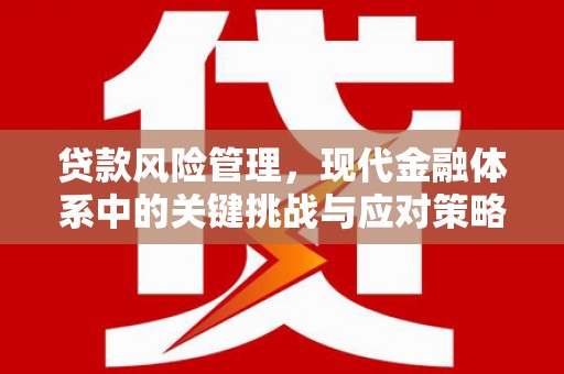 佳木斯贷款风险管理，现代金融体系中的关键挑战与应对策略