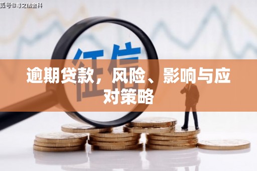 佳木斯逾期贷款，风险、影响与应对策略