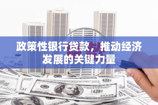 佳木斯政策性银行贷款，推动经济发展的关键力量