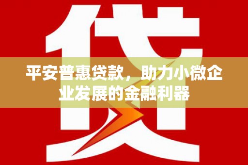 佳木斯平安普惠贷款，助力小微企业发展的金融利器