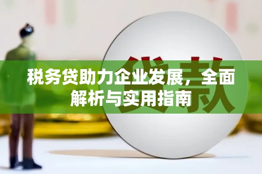 佳木斯税务贷助力企业发展，全面解析与实用指南