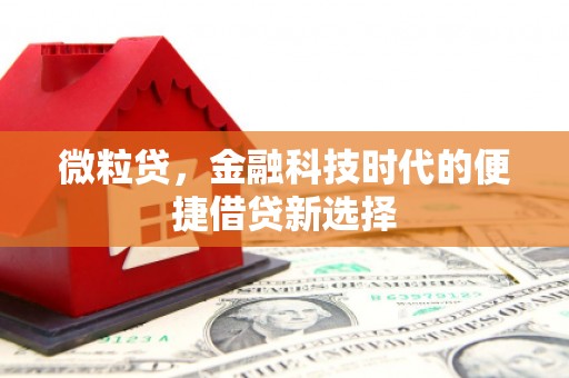 佳木斯微粒贷，金融科技时代的便捷借贷新选择